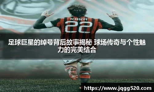 完美体育官网